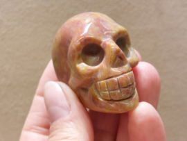 Oceaan jaspis human skull