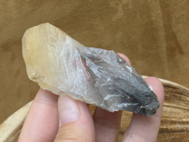 Mariposa calciet uit Mexico