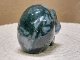 Mosagaat human skull