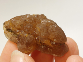 Citrien uit Marokko cluster