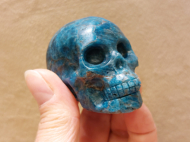 Apatiet human skull