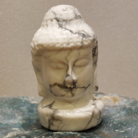 Howliet boeddha hoofd