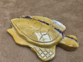 Mookaiet schildpad