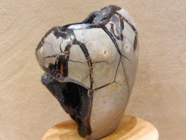 Wilde septarie sculptuur