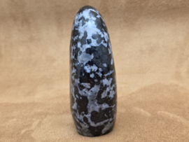 Gabbro merliniet of mystic merliniet sculptuur