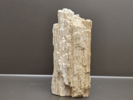 Versteend hout uit Indonesië