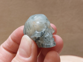 Prehniet human skull