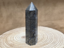 Nipomo agaat of marcasiet met agaat punt