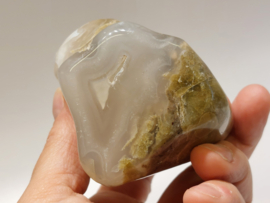 Versteend hout in chalcedoon uit Indonesie