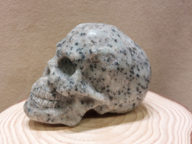 Kiwi jaspis human skull