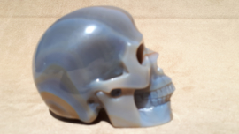 Agaat human skull