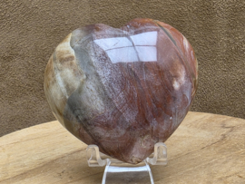Versteend hout hart