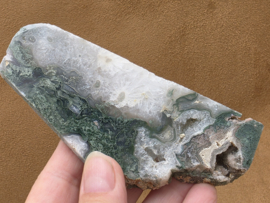 Mosagaat schijf/plak