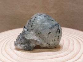 Prehniet human skull
