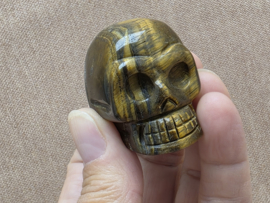 Tijgeroog human skull