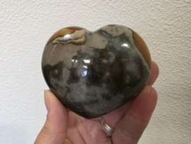 Polychroomjaspis hart