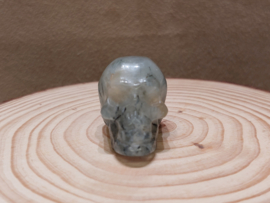 Prehniet human skull