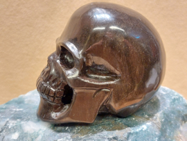 Versteend hout human skull