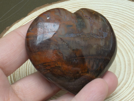Versteend hout hart