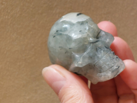 Prehniet human skull