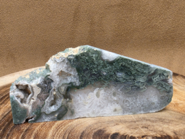 Mosagaat schijf/plak