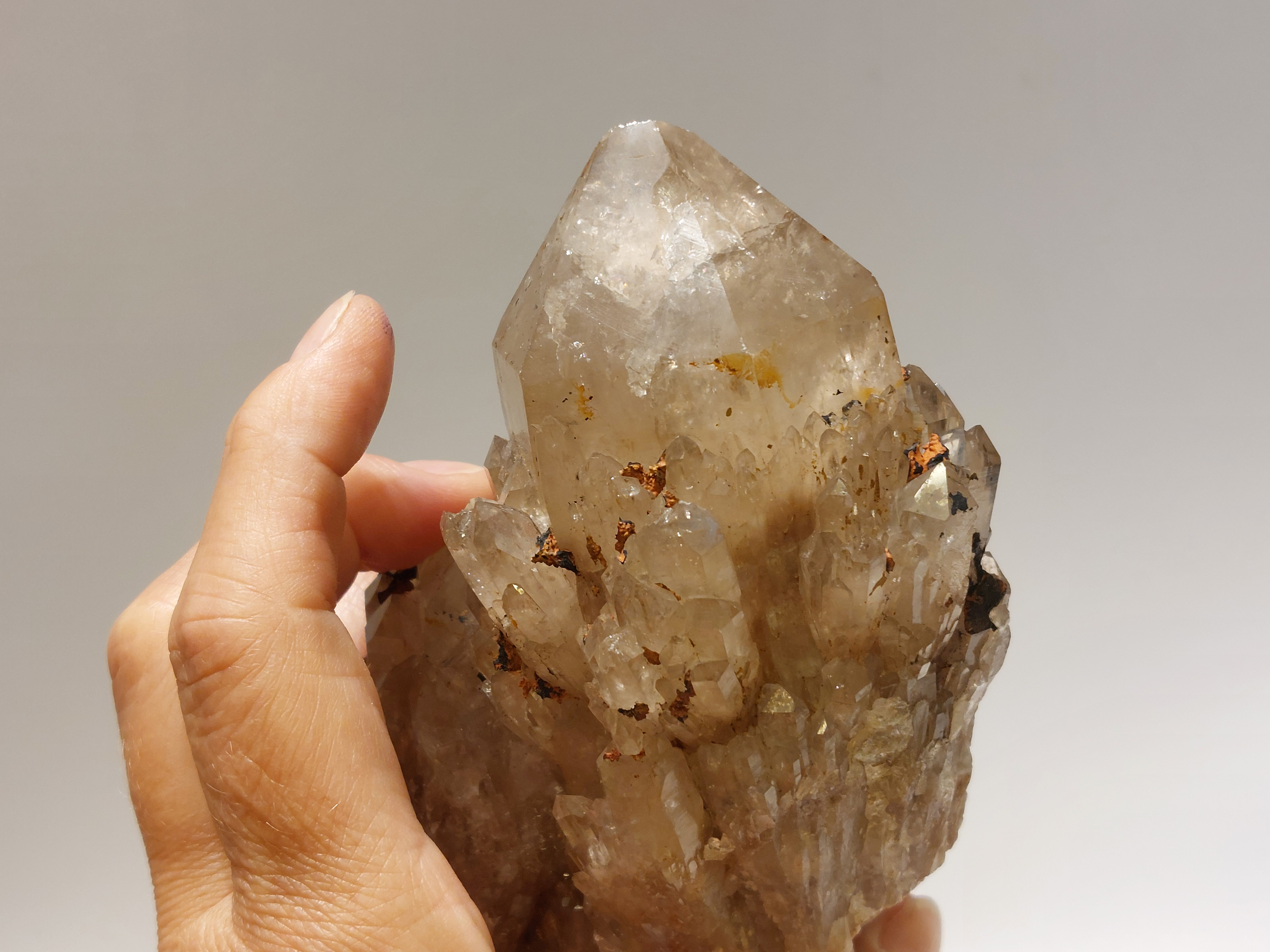 Kundalini citrien cluster uit Congo