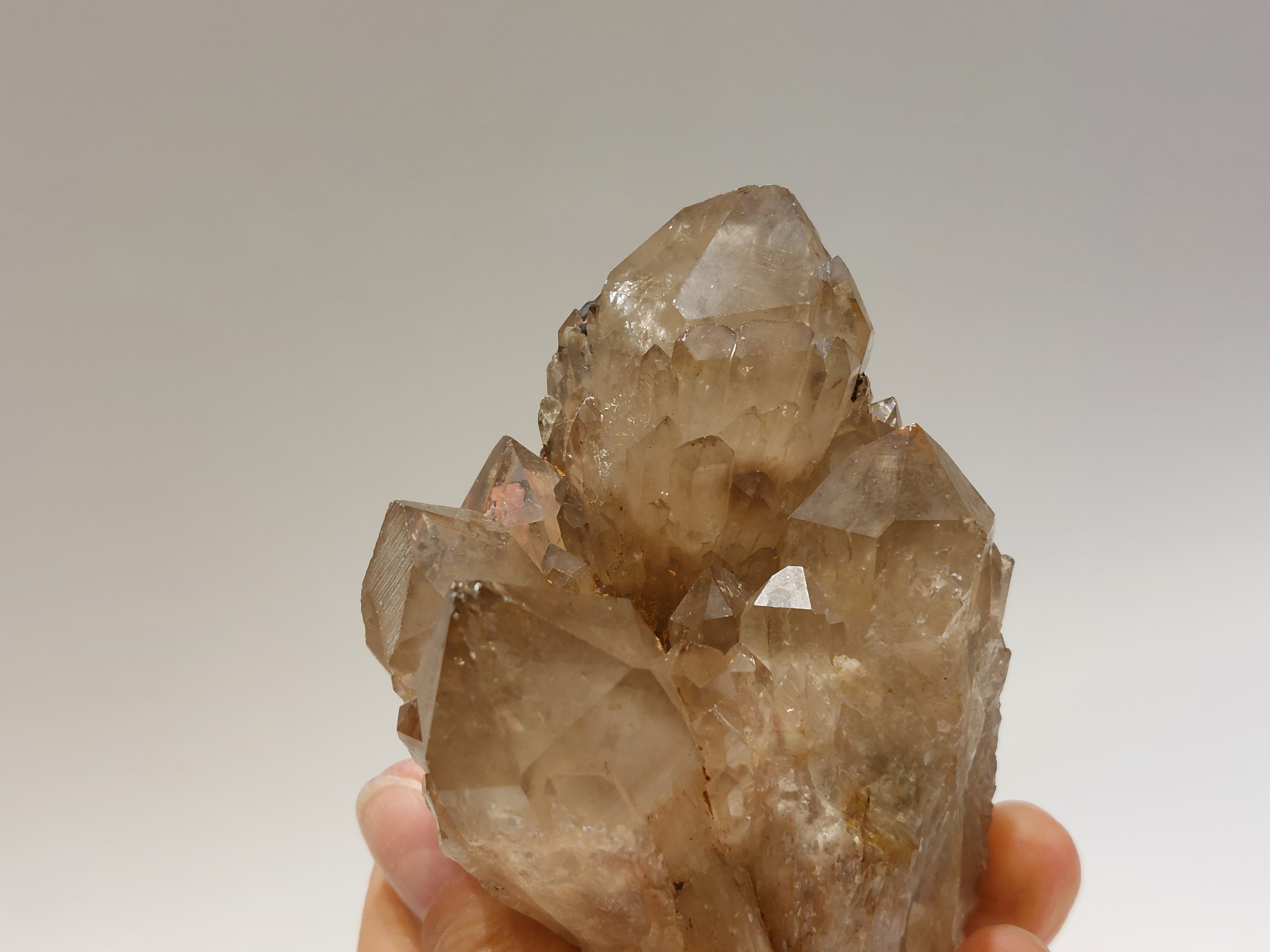Kundalini citrien cluster uit Congo