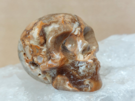 Chocolade calciet/aragoniet human skull