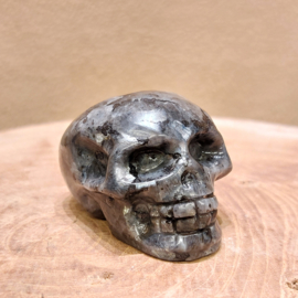 Larvikiet human skull