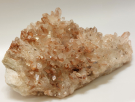 Maria magdalena cluster