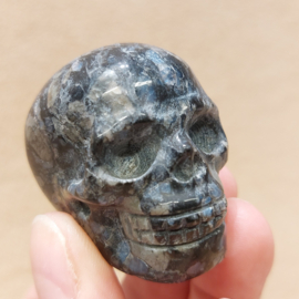 Que sera human skull