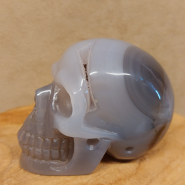 Agaat human skull