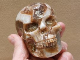 Chocolade calciet/aragoniet human skull
