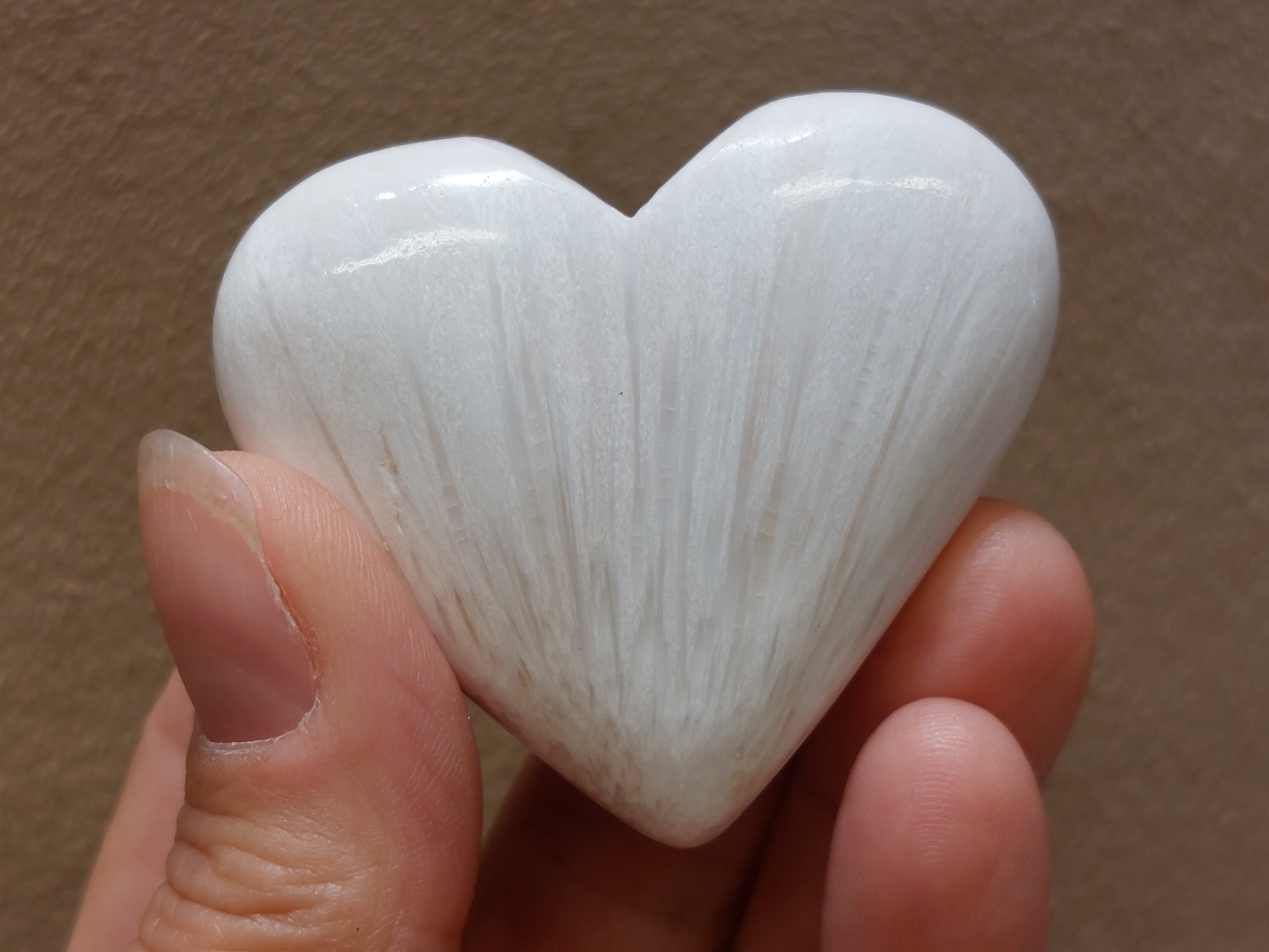 Scolesiet hart