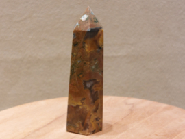 Rhyoliet of regenwoud jaspis punt