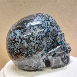 Gabbro merliniet of mystic merliniet human skull
