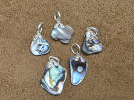 Abalone schelp hanger