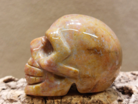 Oceaan jaspis human skull