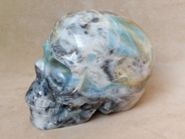 Blue carribean calciet human skull