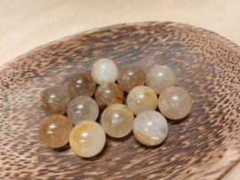 Rutielkwarts bolletje