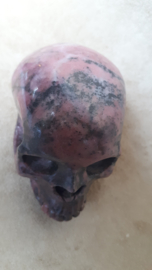 Rhodoniet human skull