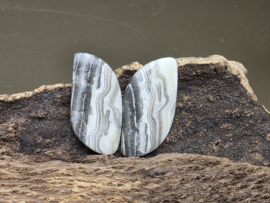 Zebra calciet cabochons set van 2