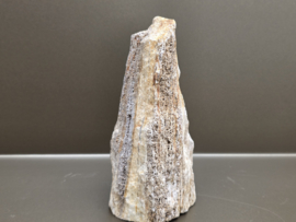 Versteend hout uit Indonesië