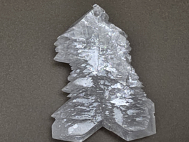 Engelenvleugel seleniet/angelwing seleniet fish tail, Mexico