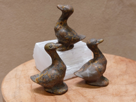 Rhyoliet of regenwoud jaspis gans