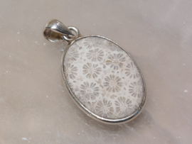 Fossiel koraal hanger in zilver