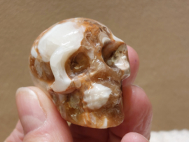 Chocolade calciet/aragoniet human skull