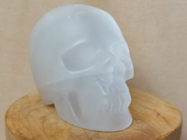 Seleniet/satijnspaat human skull