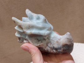 Blue carribean calciet draak