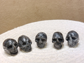 Larvikiet skullie